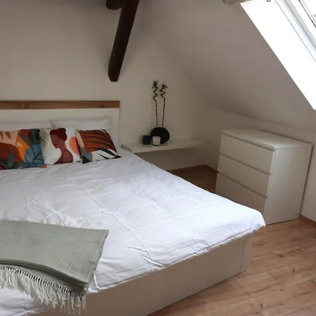 Wohlfuhl-oase In Der Altstadt Apartment Delitzsch